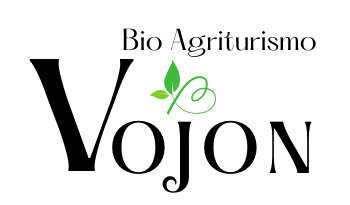 Logo Bio Agriturismo Vojon